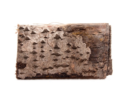 closeup of one single piece of firewood isolated on white backgroundの写真素材