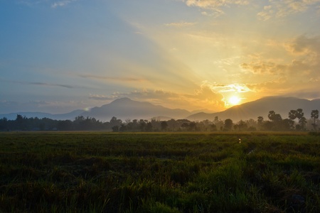 sunshine on morning with the field