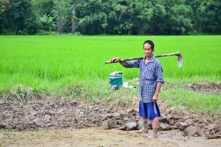 old asian man in farm of thailand southeast asiaの写真素材