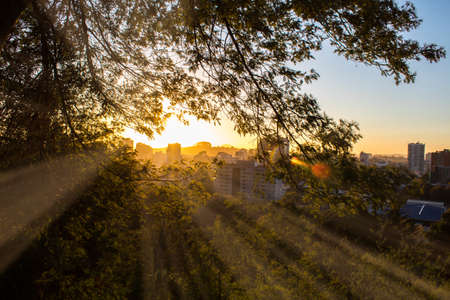 Sunset seen from a stone path between the trees of the mount