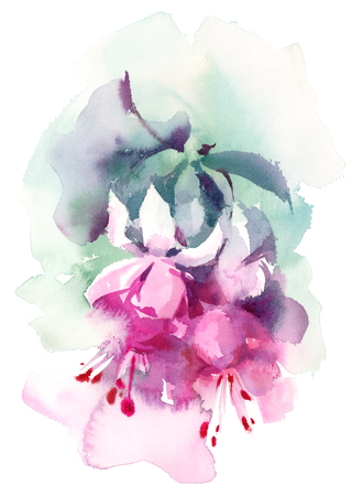 Watercolor Fuchsia Summer Flowers Hand Painted Floral Header Banner Pink Illustrationの写真素材