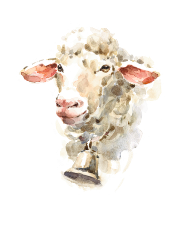 Watercolor Sheep wearing a bell Farm Animal Portrait Hand Painted Illustrationの写真素材