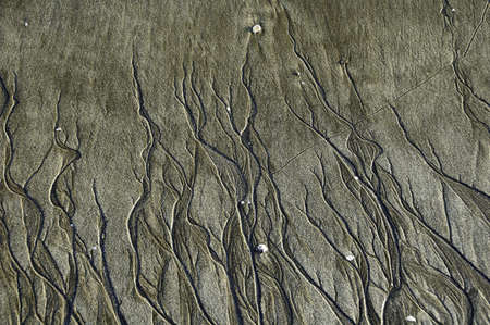 Pattens on beach sand created by water