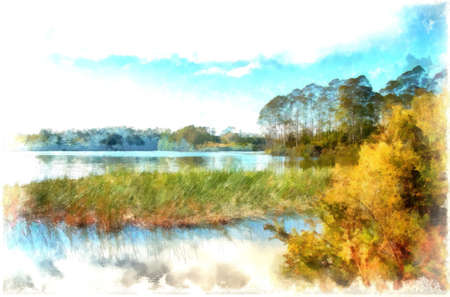 View across the  placid lake Manuwai in Northland , New Zealand  against a backdrop of trees and a blue sky filled with cloudsの写真素材