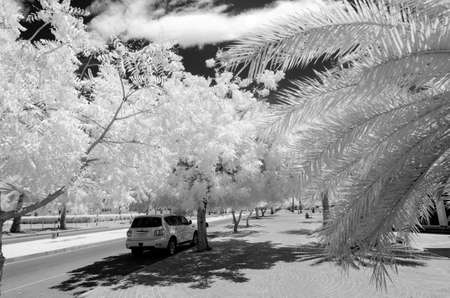 Infrared photograph in black and white of a car parkedon  an empty tree lined city street with a black sky and white cloudsの写真素材