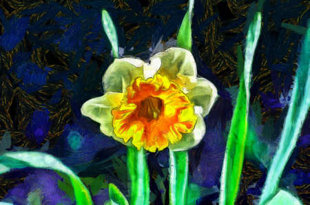 Painting of a daffodil flowerの写真素材