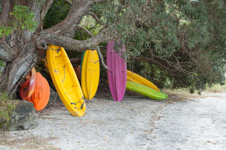 Stack of colorful kayaks under a treeの写真素材