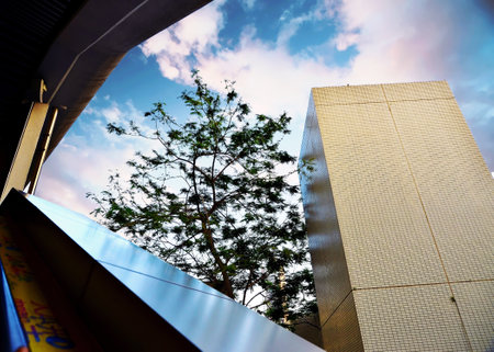 Hong Kong - Trees in modern office buildingの写真素材