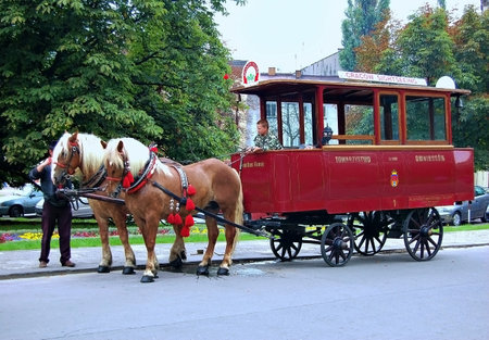 Horse-drawn carriages in the cityの写真素材