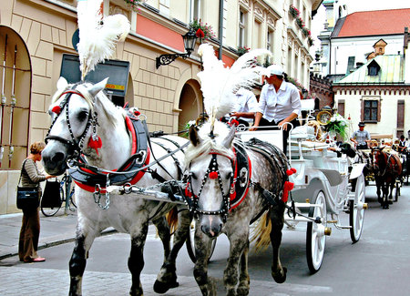 Horse-drawn carriages on the streets of  Europeの写真素材