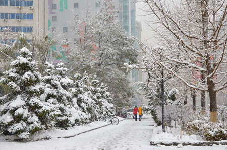 snowing sceneのeditorial素材