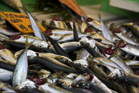 anchovies on market close upの写真素材