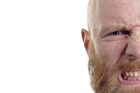 bald angry man with red beard isolated on white backgroundの写真素材