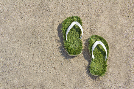 global warming environment, last green flip flops isolated on white backgroundの写真素材