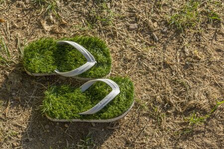 global warming environment last green flip flops isolated on dried grassの写真素材