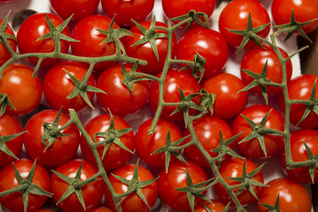 red, shiny delicious tomatoesの写真素材
