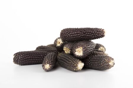 black corn on white background isolatedの写真素材