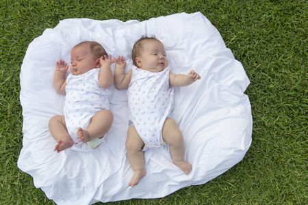 twinbabies on the grass in the parkの写真素材