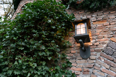 Old lamp on vintage wall. Green leaves around it.の写真素材