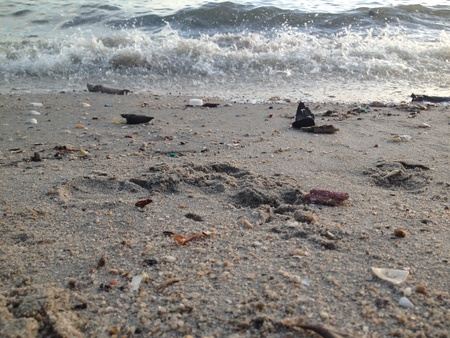 Dirty Beachの素材