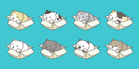 cat vector icon kitten calico box character illustration cartoon doodleのイラスト素材