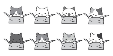 cat breed icon logo vector character cartoon kitten box illustration doodleのイラスト素材