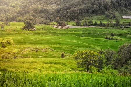 Rice terrace  at Phamon villageの写真素材