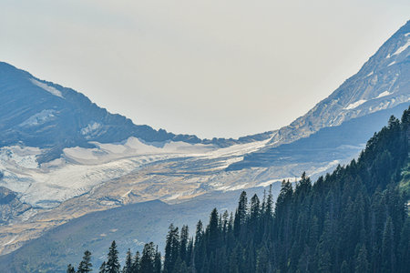 Mountain landscape with glacier capped peaks and coniferous forestの写真素材