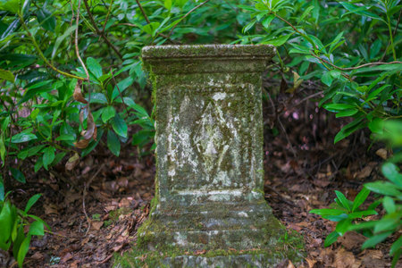 A weathered stone pedestal or ancient ruin heavily covered in green moss standing amidst dense foliage and dry leaves in a thick woodland setting at Lerryn, United Kingdom. This structure features an eroded carved design on its front face.
