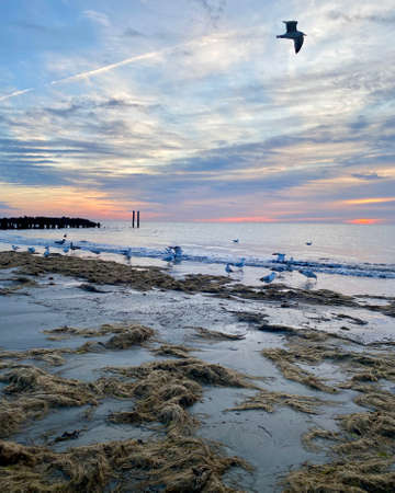 Photograph of sunrise over water taken from the beach shoreの写真素材