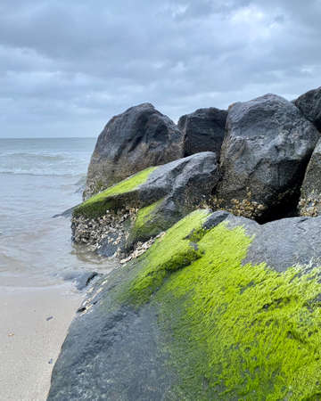 Green Mossy landscapeの写真素材