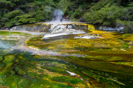 Thermal Pool at Waimangu Volcanic Valley in Rotorua, North Island, New Zealand.の写真素材