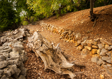 Ancient road dating back to the roman empire near Beli, island of Cres (Croatia)の写真素材