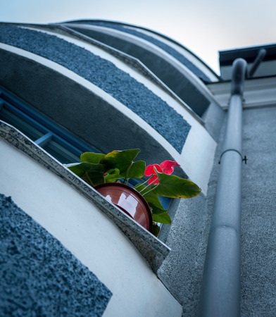 Red flower on the windowsill of a blue house as seen from belowの写真素材