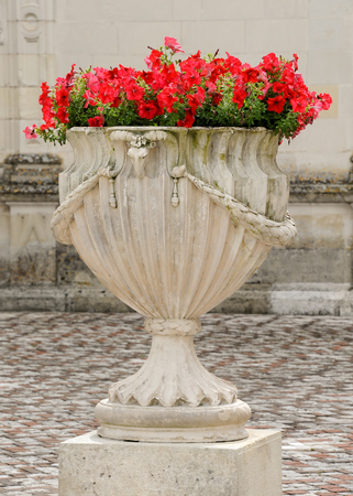 Red petunias in an old white stone vaseの写真素材