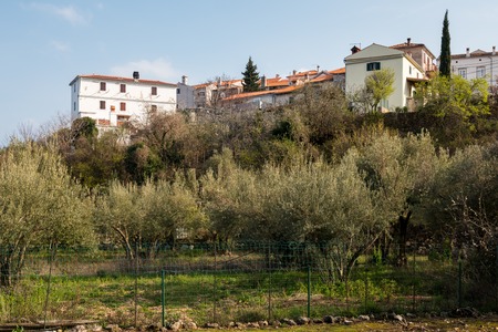 Houses and olive grove of Beli (Island Cres, Croatia) on a sunny day in springのeditorial素材