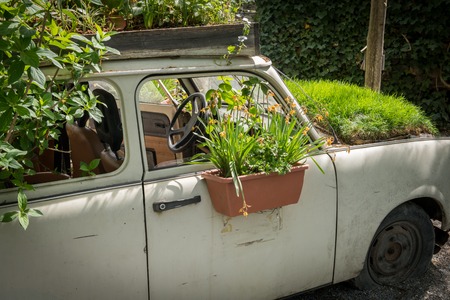 Old car used as decoration and flower pot in a gardenの写真素材