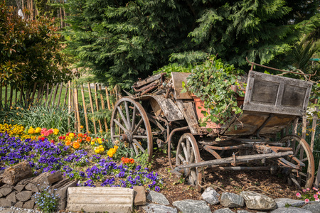 Old coach used as decoration and flower pot in a gardenの写真素材