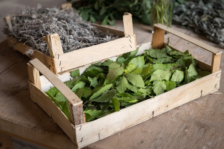 Small box filled with laurel leaves standing on a wooden tableの写真素材