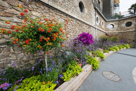 Flowers on the promenade Clair de lune in Dinard (France) on a sunny day in summerの写真素材