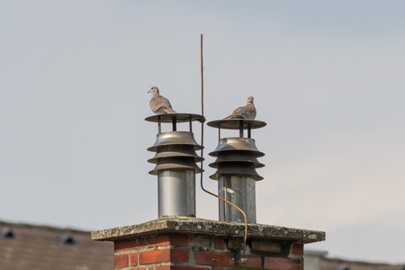 Two Eurasian collared doves (Streptopelia decaocto) sitting on a chimney, cloudy skyの写真素材