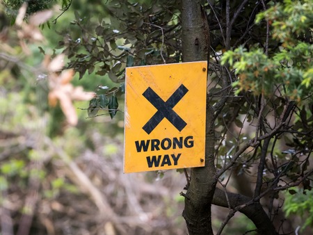 Closeup of a yellow wrong way sign hanging on a treeの写真素材