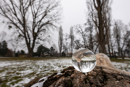 Glass sphere lying on a tree trunk in a park in winter (Vienna, Austria)の写真素材