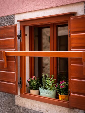 window with wooden shutters and potted plants on a sunny day