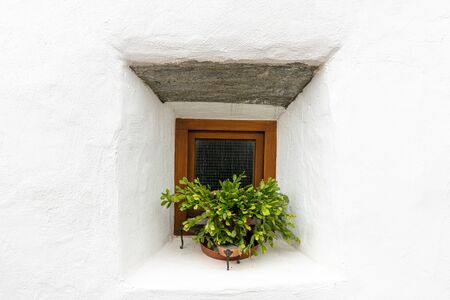 Flowers in front of a small window of a very old house in Glurns (South Tyrol, Italy)の写真素材