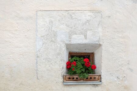 Red flowers in front of a small window of a very old house in South Tyrol, Italyの写真素材