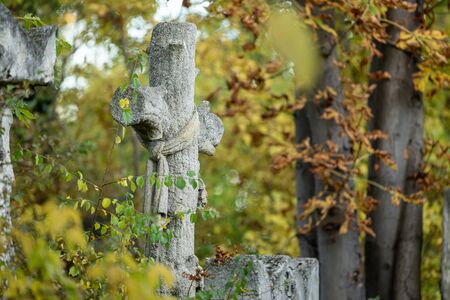 Detail of an old gravestone in St. Marx Cemetery (Vienna, Austria) in autumn, colored leavesの写真素材