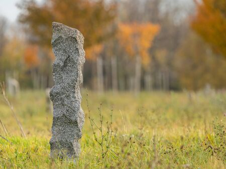 Stone needle on a meadow on a sunny day in autumn, colored leaves (Vienna, Austria)の写真素材