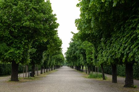 Avenue in Augarten Park in Vienna (Austria) on a cloudy day in springの写真素材