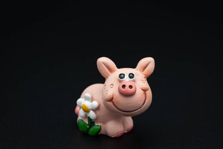 Figurine of a small piggy with a white flower, black backgroundの写真素材